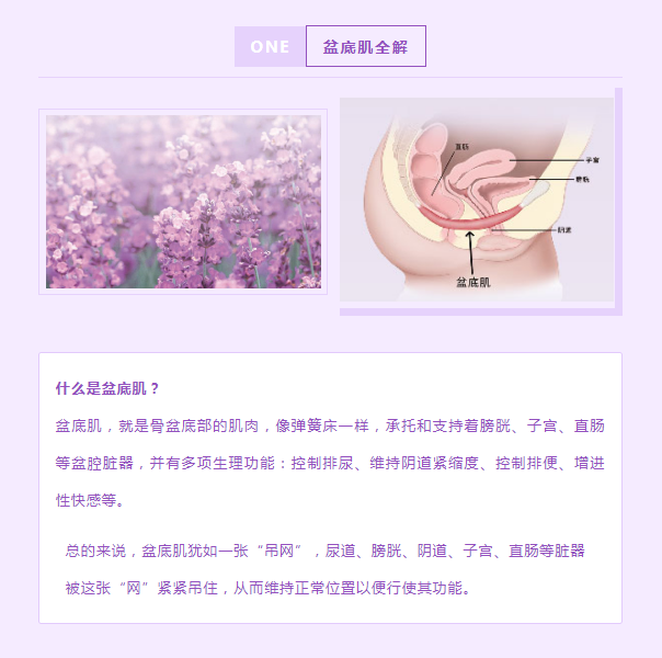 微信图片_20231023143314.png